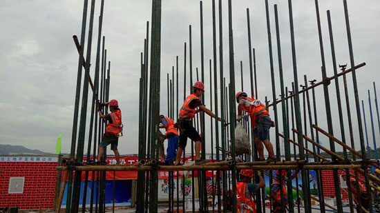 ��ʨ�����(�й�)���޹�˾-Official website