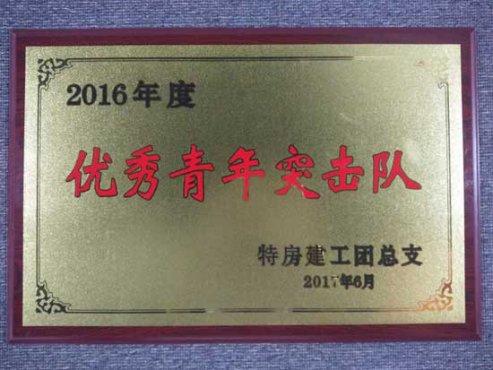 ��ʨ�����(�й�)���޹�˾-Official website