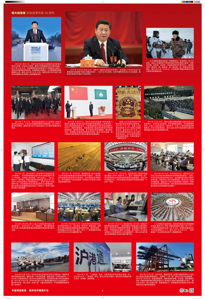 ��ʨ�����(�й�)���޹�˾-Official website