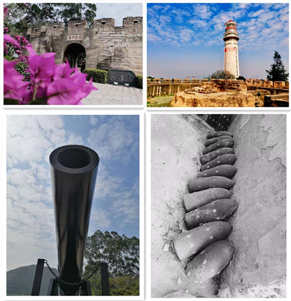 ��ʨ�����(�й�)���޹�˾-Official website