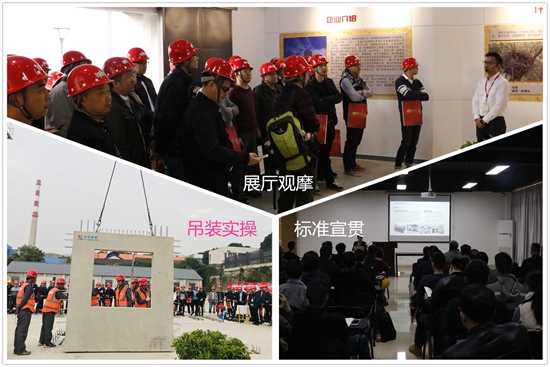 ��ʨ�����(�й�)���޹�˾-Official website