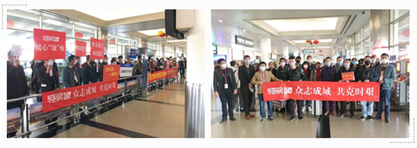 ��ʨ�����(�й�)���޹�˾-Official website