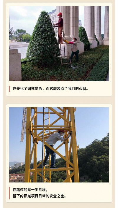 ��ʨ�����(�й�)���޹�˾-Official website