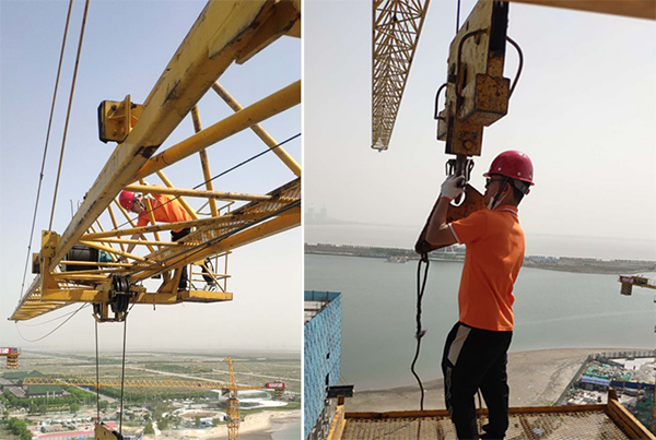 ��ʨ�����(�й�)���޹�˾-Official website