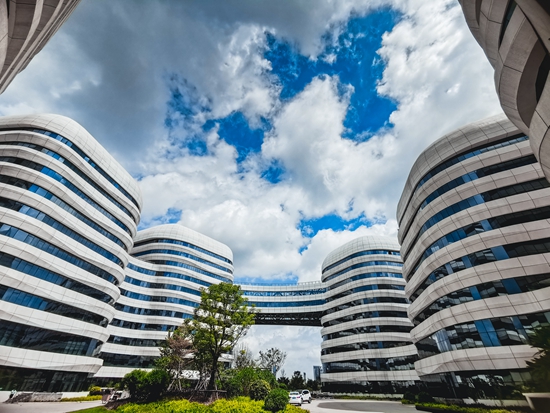 ��ʨ�����(�й�)���޹�˾-Official website