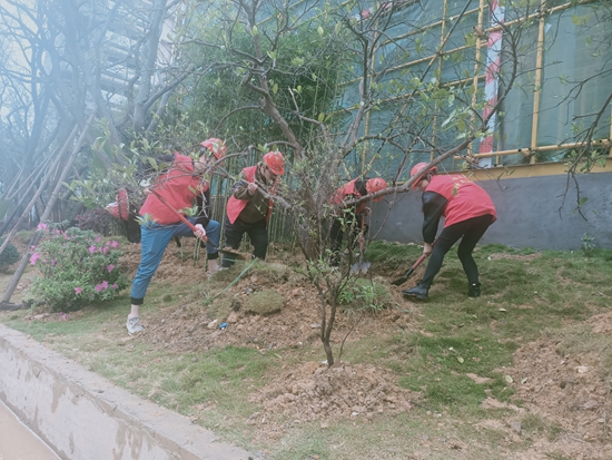 ��ʨ�����(�й�)���޹�˾-Official website