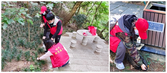 ��ʨ�����(�й�)���޹�˾-Official website