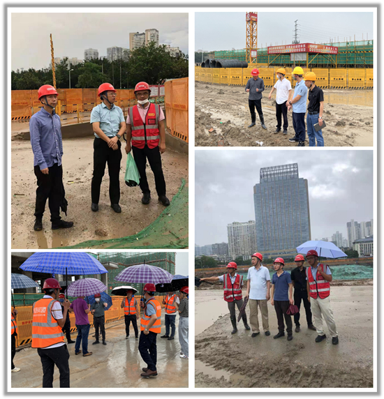 ��ʨ�����(�й�)���޹�˾-Official website