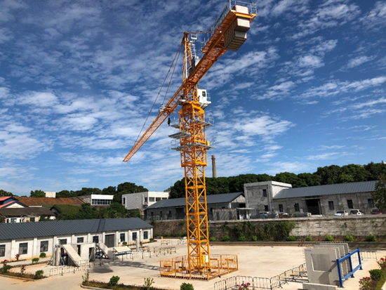 ��ʨ�����(�й�)���޹�˾-Official website