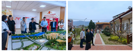 ��ʨ�����(�й�)���޹�˾-Official website