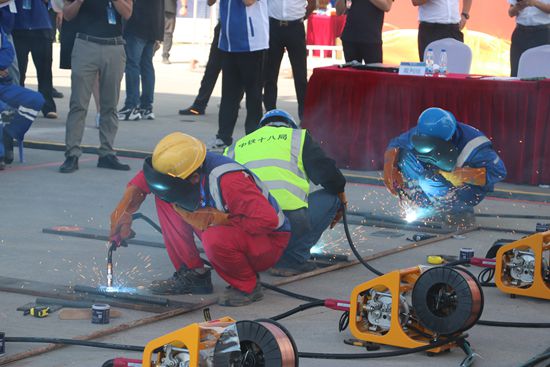 ��ʨ�����(�й�)���޹�˾-Official website